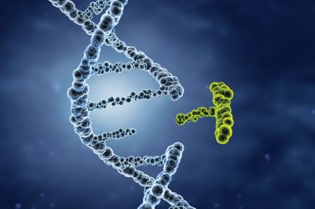 dna-fix