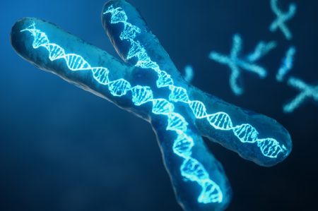 htert-telomere